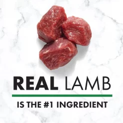 Nutro Natural Choice Adult Lamb & Brown Rice Recipe Dry Dog Food -Cheap K&H Pet Products || Nutro Store 86781 PT3. SY630 V1611613649