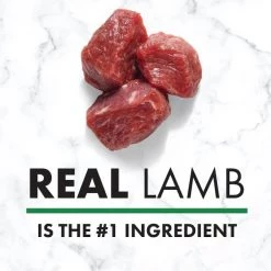 Nutro Natural Choice Senior Lamb & Brown Rice Recipe Dry Dog Food -Cheap K&H Pet Products || Nutro Store 86783 PT3. SY630 V1611619033