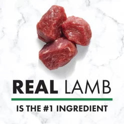 Nutro Natural Choice Healthy Weight Adult Lamb & Brown Rice Recipe Dry Dog Food -Cheap K&H Pet Products || Nutro Store 86789 PT3. SY630 V1611615102