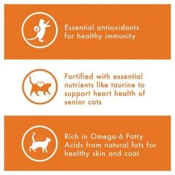 Nutro Wholesome Essentials Chicken & Brown Rice Recipe Senior Dry Cat Food -Cheap K&H Pet Products || Nutro Store 86790 PT4. SY630 V1559676451