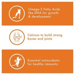 Nutro Wholesome Essentials Chicken & Brown Rice Recipe Kitten Dry Cat Food -Cheap K&H Pet Products || Nutro Store 86811 PT4. SY630 V1559676476