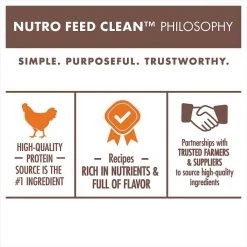 Nutro Wholesome Essentials Chicken & Brown Rice Recipe Kitten Dry Cat Food -Cheap K&H Pet Products || Nutro Store 86811 PT5. SY630 V1559676459