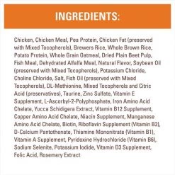 Nutro Wholesome Essentials Chicken & Brown Rice Recipe Kitten Dry Cat Food -Cheap K&H Pet Products || Nutro Store 86811 PT6. SY630 V1559676448