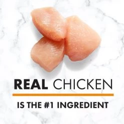 Nutro Natural Choice Puppy Chicken & Brown Rice Recipe Dry Dog Food -Cheap K&H Pet Products || Nutro Store 86819 PT3. SY630 V1611617769