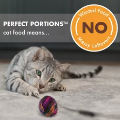 Nutro Perfect Portions Grain-Free Chicken & Shrimp Paté Recipe Cat Food Trays -Cheap K&H Pet Products || Nutro Store 87482 PT5. SY630 V1563820108